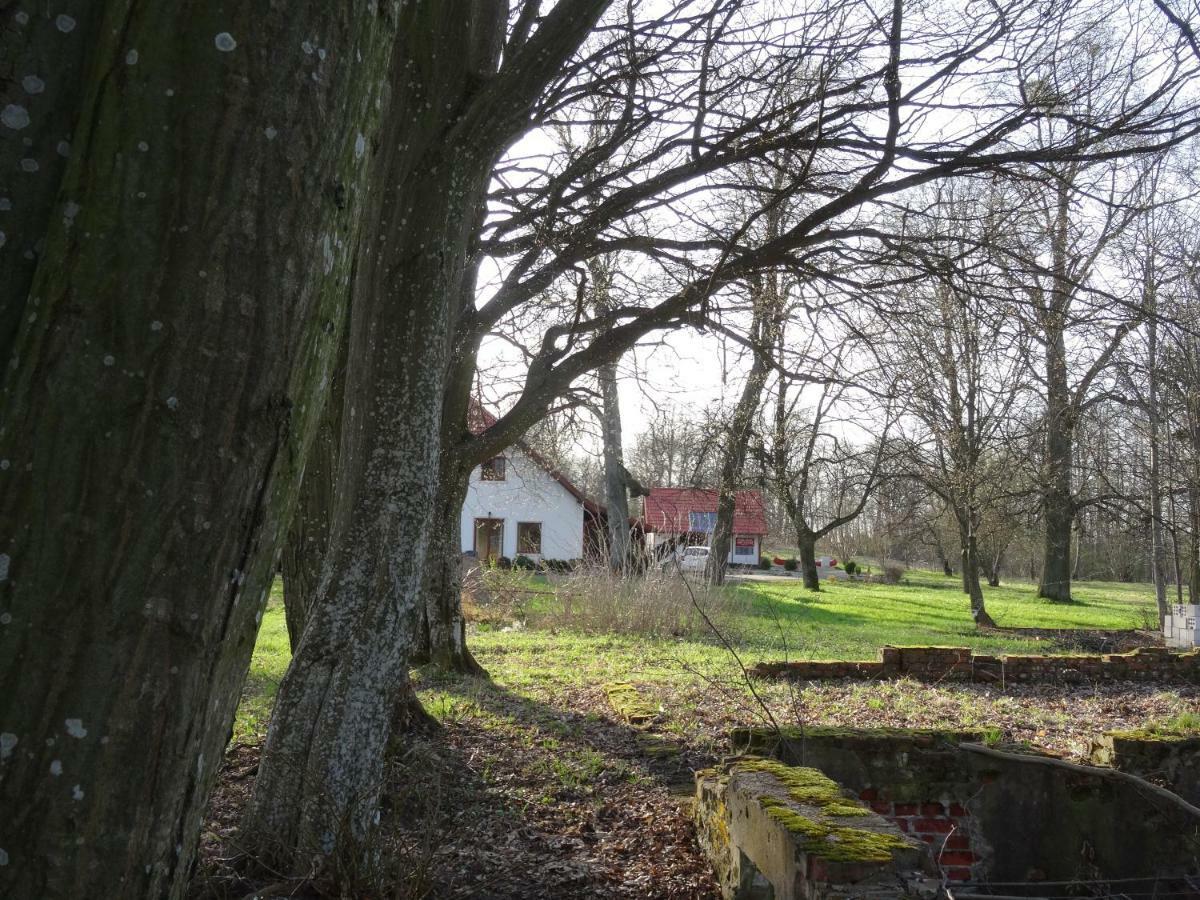 Poza Zgielkiem Węgorzewo Exterior foto