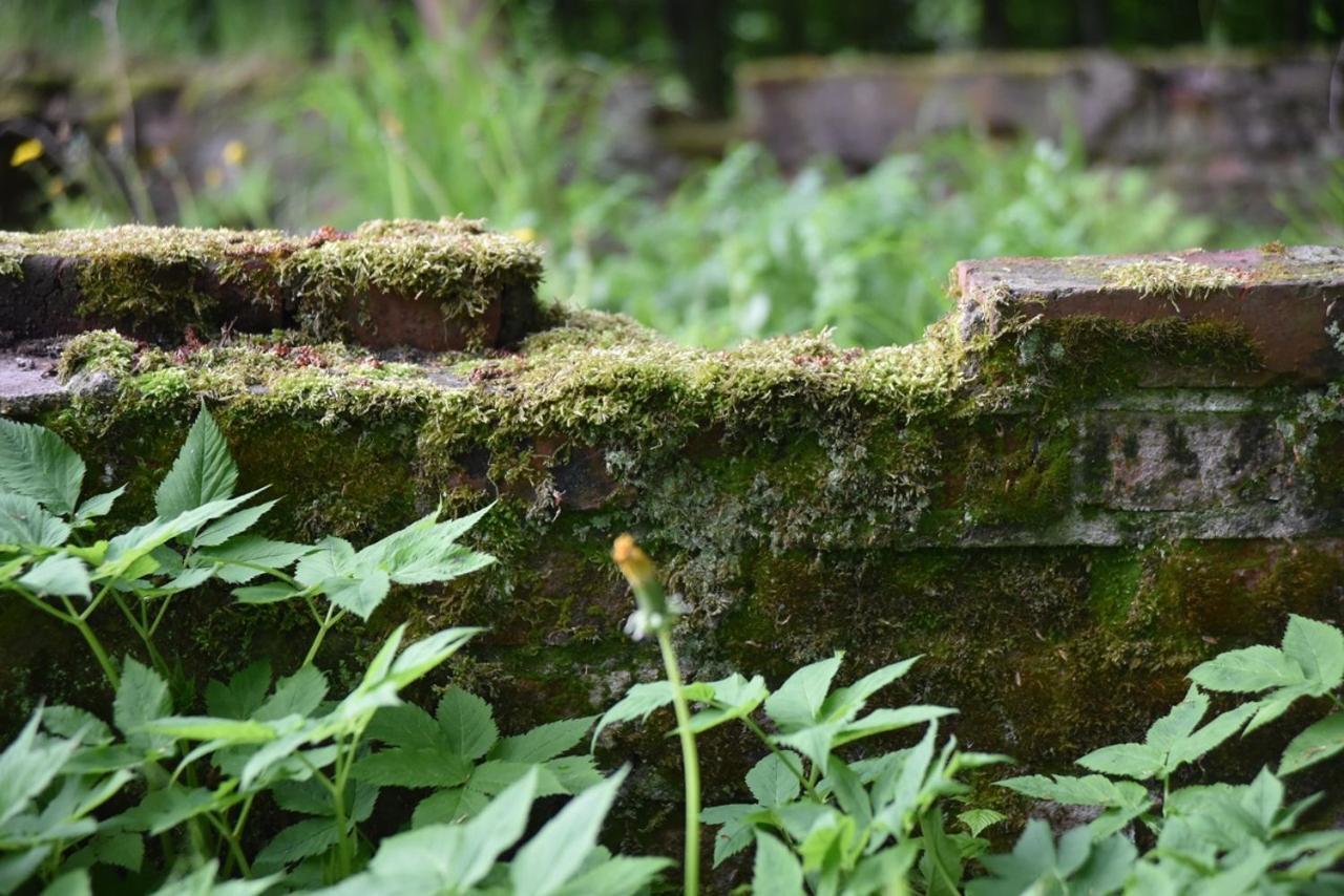 Poza Zgielkiem Węgorzewo Exterior foto